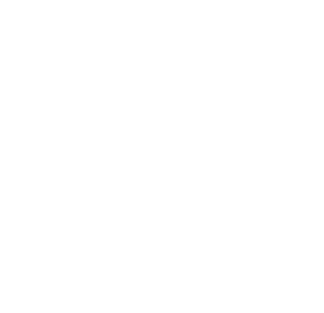 MEDIA VISION