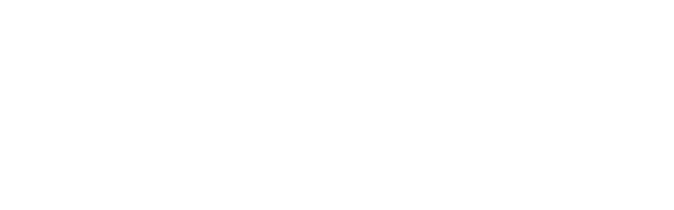 VISUAL SOLUTION